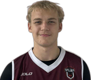 Wiktor Janikowski