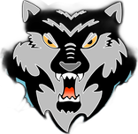 Wilki Morskie Szczecin