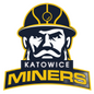 AZS AWF Miners Katowice