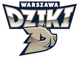 Dziki Warszawa