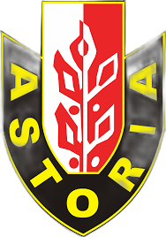 Enea Astoria Bydgoszcz